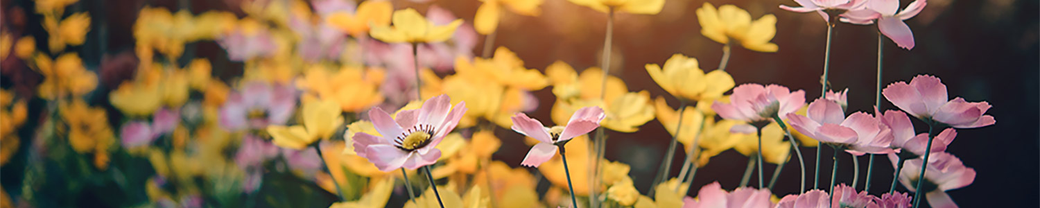 Funeral Director in Chorley