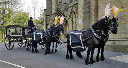 Horse Drawn Hearse